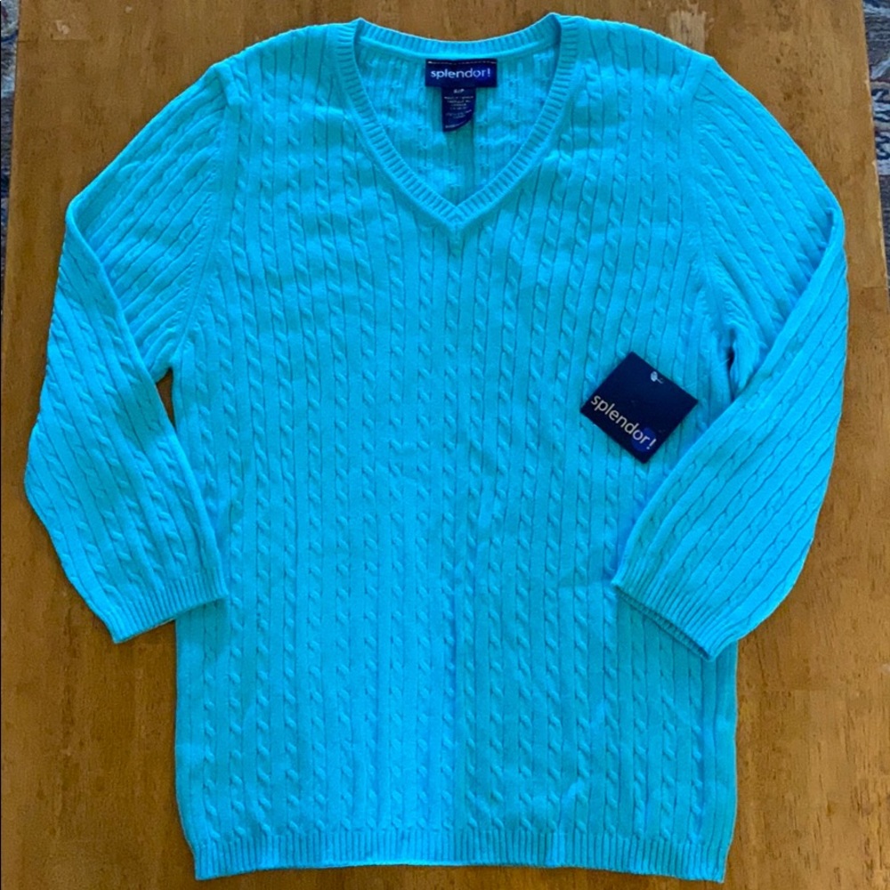 NWT Splendor! Cable Stitch V-Neck Sweater